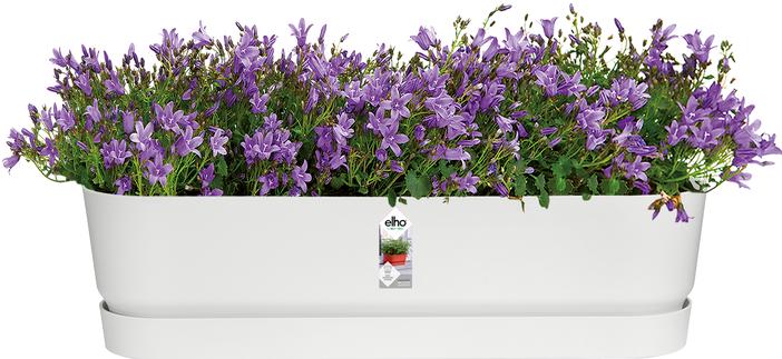 Image du produit Elho Jardinière Greenville Longue (700 cm)