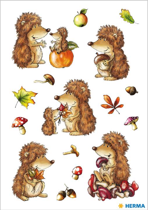 Produktbild HERMA Sticker Igel
