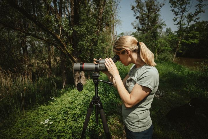 Immagine prodotto Bushnell Nitro (20x, 65 mm)