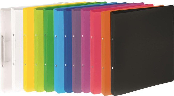 Actual product image Pagna Ring binder (A4, 30 mm, 1 x)
