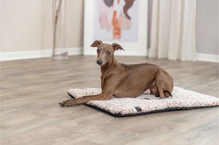 Actual product image Trixie Hunde-Liegematte Calida 80 cm x 55 cm (Dog)