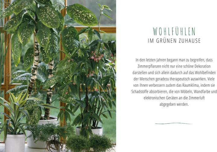 Produktbild Saubere Luft mit Zimmerpflanzen (Deutsch, Ursula Kopp, 2018)