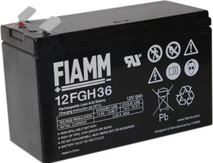 Fiamm Versorgungsbatterie (12 V, 9 Ah)