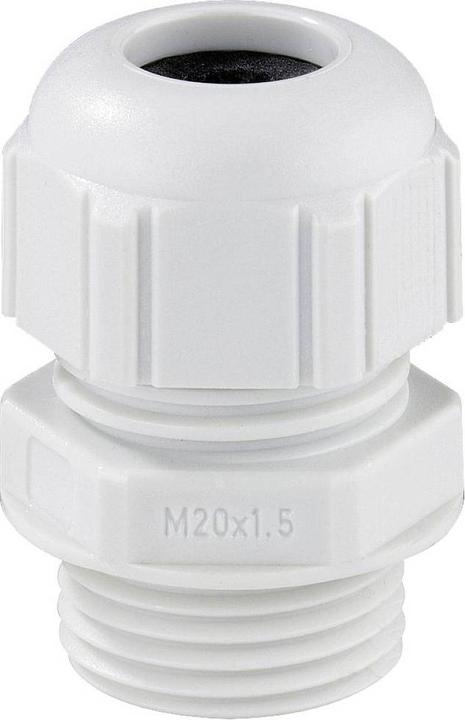 Actual product image Spelsberg Cable gland