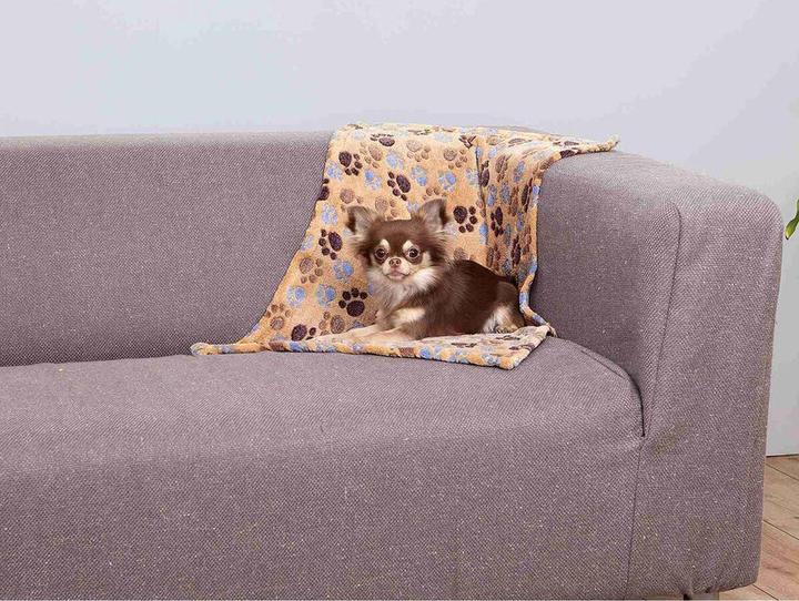 Image du produit Trixie Laslo (Chien)