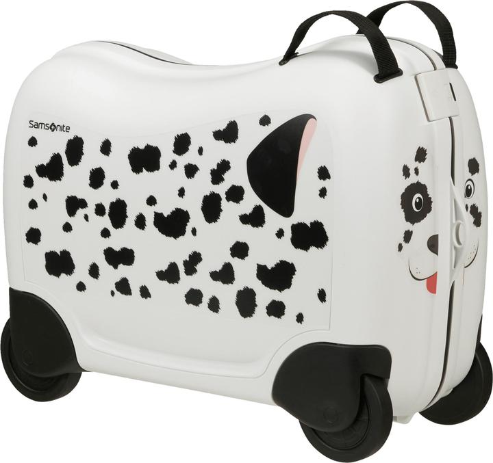Produktbild Samsonite Dream2Go (30 l)
