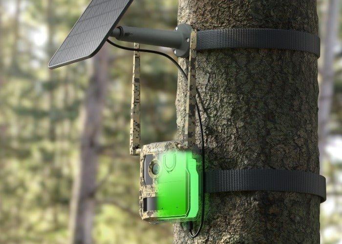 Actual product image Reolink Webcam Camovue Talon S130 4G LTE Trail Camera (8 Mpx)