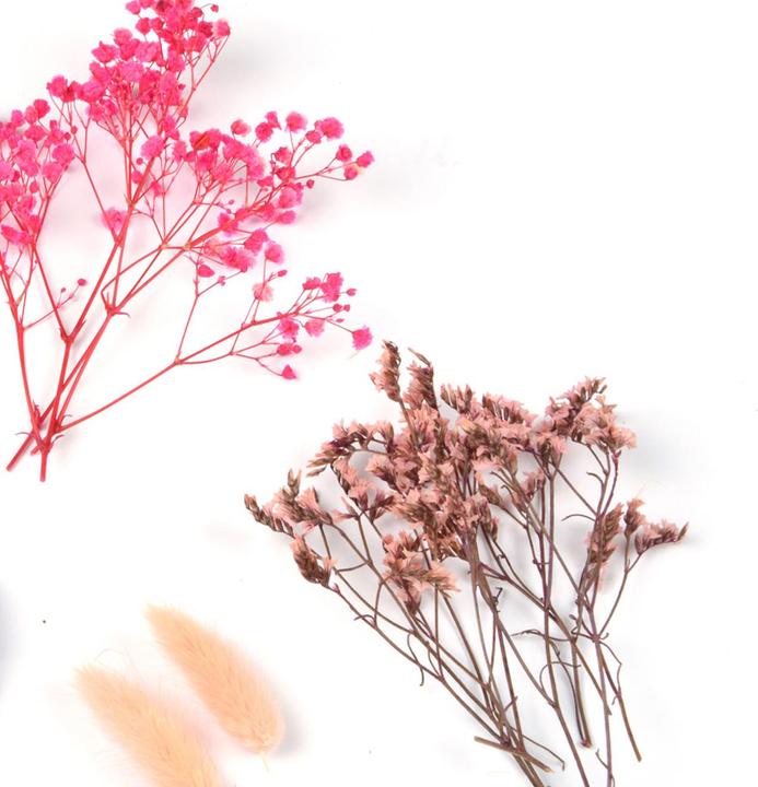 Produktbild Natura Punto Trockenblumen Set