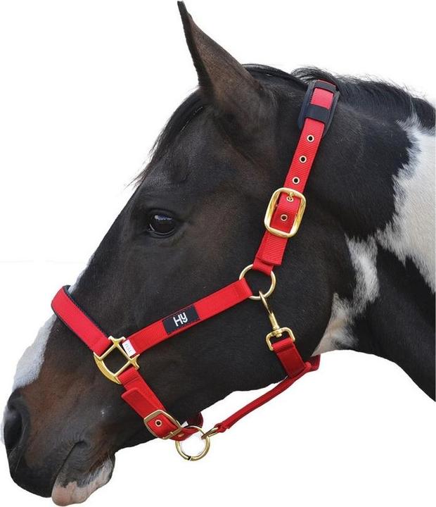 Actual product image Hy Health Hy Deluxe Halter padded