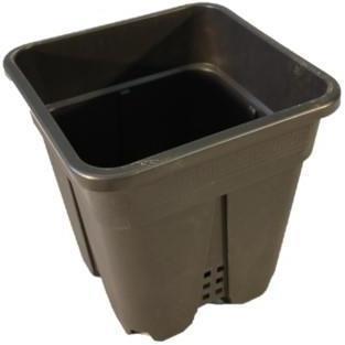 Actual product image Tamar Square pot