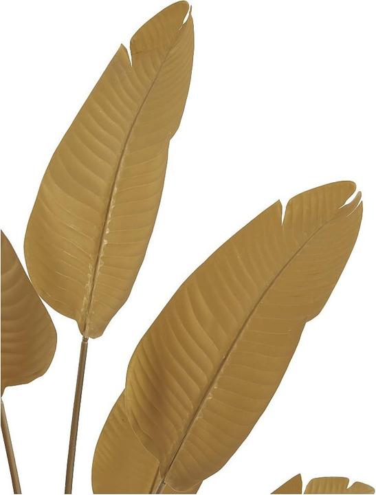 Immagine prodotto Ozaia Nendaz (160 cm)