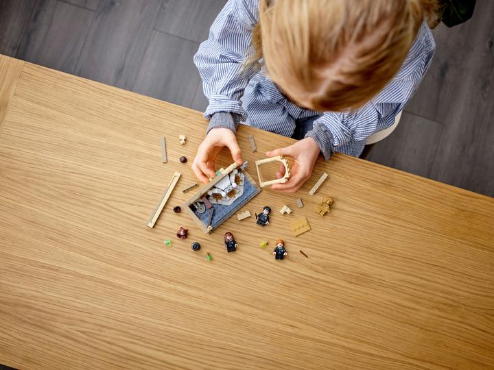 Produktbild LEGO Hogwarts: Misslungener Vielsaft-Trank (76386, LEGO Harry Potter)