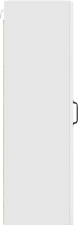 Produktbild vidaXL Küchenschrank (31 x 50 x 100 cm)