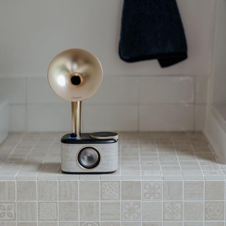 Produktbild Sangean CP 100D (DAB+, FM, Bluetooth)