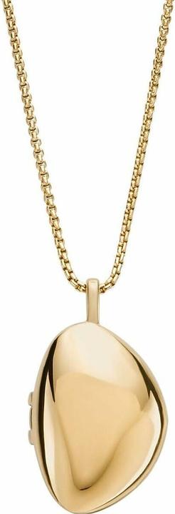 Image du produit Skagen Collier Kariana (Acier inoxydable, 40 cm)