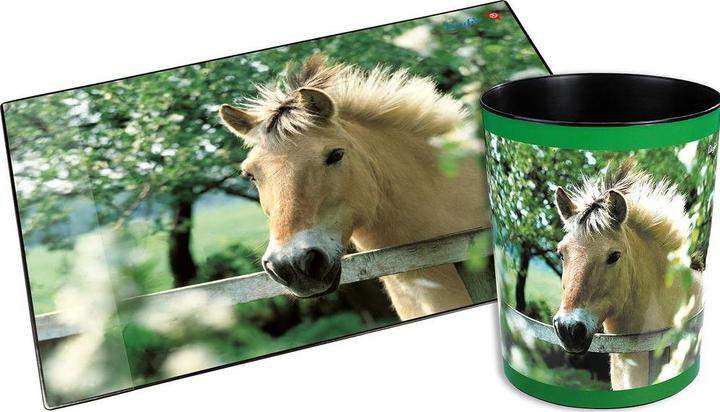 Produktbild Läufer Pferd/Weide (13 l)