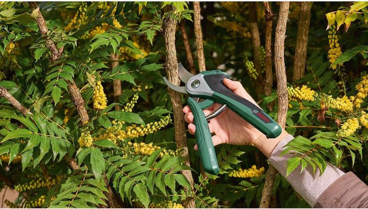 Productafbeelding Bosch Home & Garden Accu-tuinschaar EasyPrune