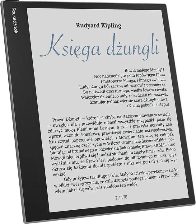 Image du produit PocketBook InkPad Eo (10.30", 64 Go, Gris brumeux)