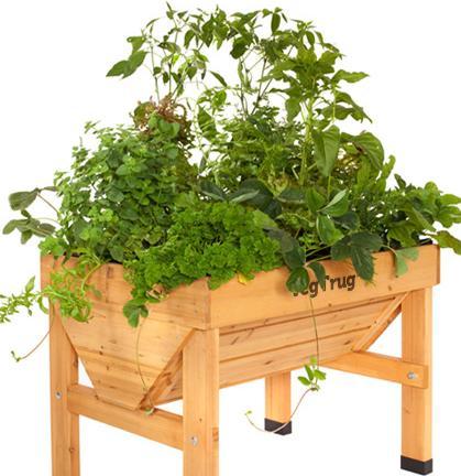 Image du produit VegTrug Bac à fleurs