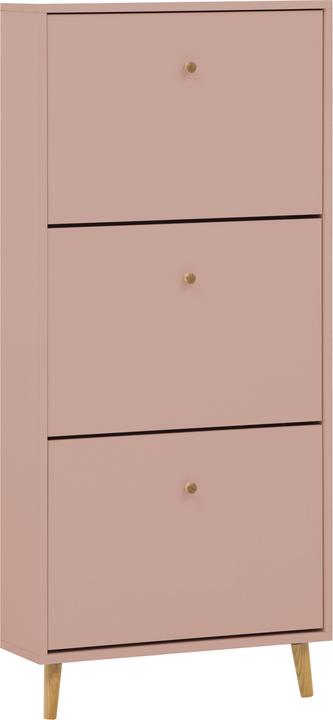 Apricot