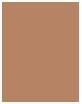 Actual product image Clinique Even Better (04 - Cream Chamois)