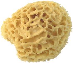 Herba Véritable éponge naturelle