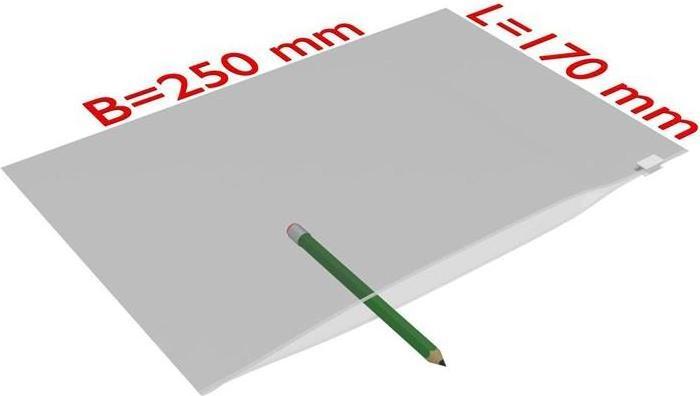 Transpak Sacchetto slip seal dimensioni 250x170mm spessore 60µ PE trasparente (1000 Pezzo/i)