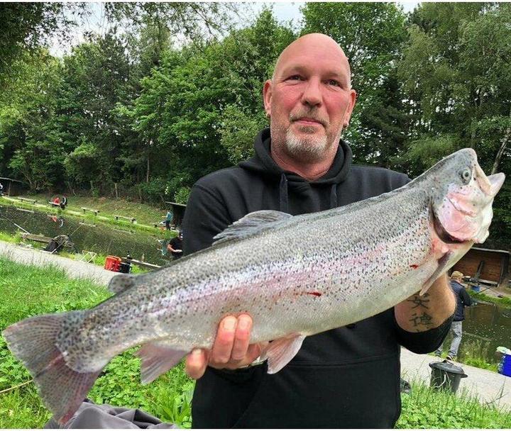 Produktbild Major Fish Forellenbox Ready-to-Fish 50 Teilig