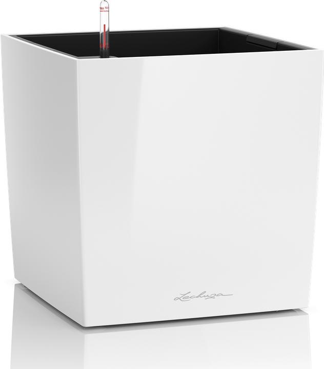 Produktbild Lechuza Cube (39 x 39 x 40 cm)