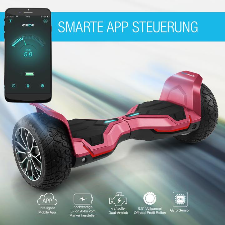 Actual product image Bluewheel HX510 (15 km/h, 700 W)