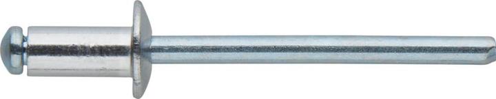 Immagine prodotto Magni Supporto per rivetti ciechi Fortis. 75 pezzi di rivetti piatti. 4,8x14mm