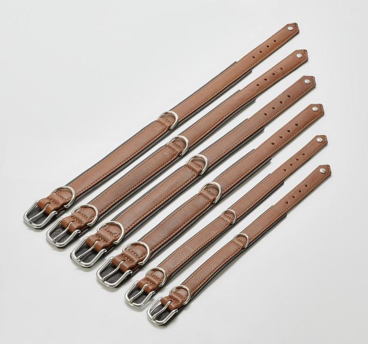 Image du produit Laboni Collier Nappa Amici M (M, Chien, Général)