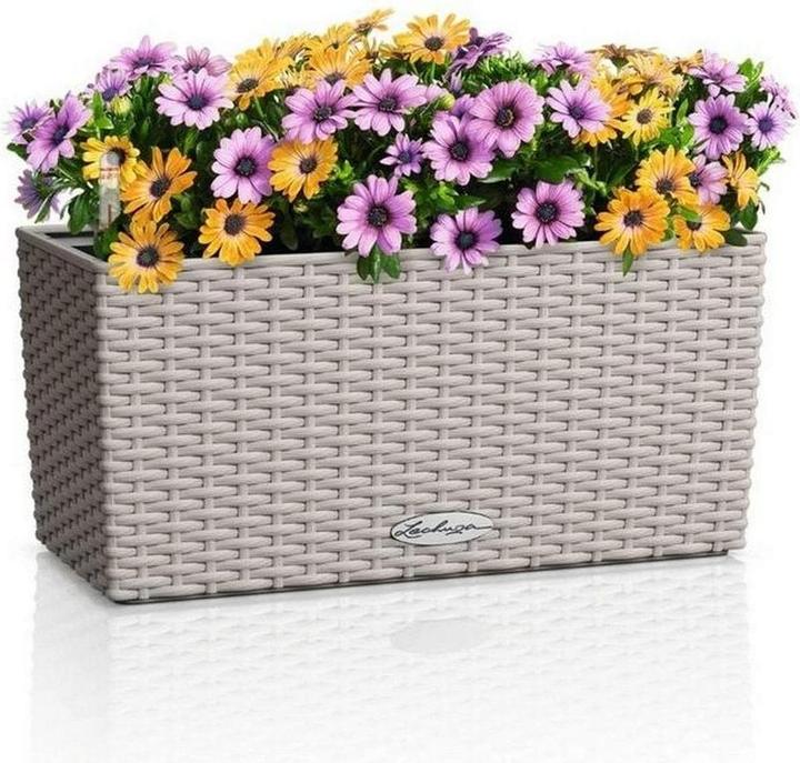 Brown, Sand, Sand brown