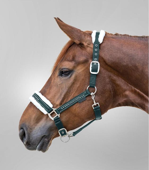 Produktbild Waldhausen Elegant