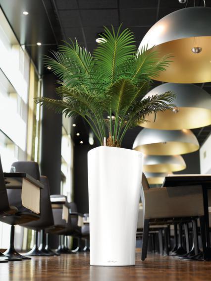 Actual product image Lechuza Delta (39 x 75.50 cm)