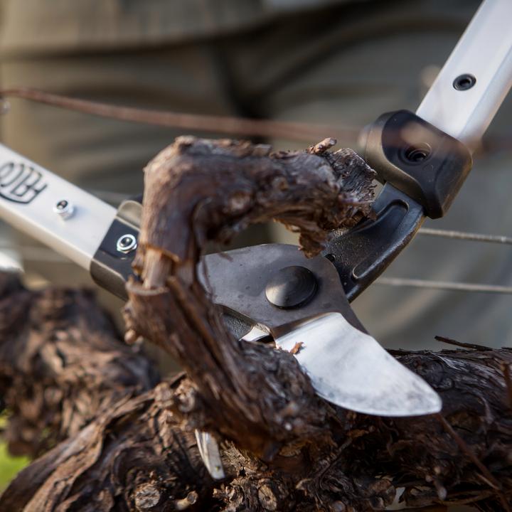 Produktbild Felco 201-60 Zweihand- Astschere, 60 cm