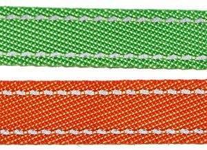 Immagine prodotto Voarge Doppelleine für 2 Hunde (Cane)