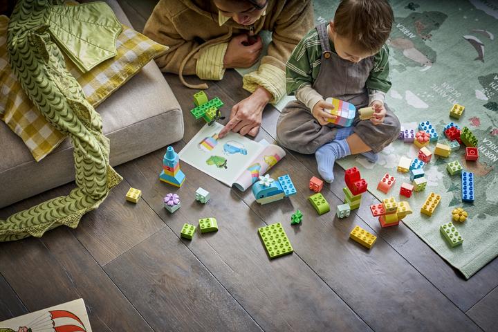 Productafbeelding LEGO Kleurrijke creatieve doos (10479)