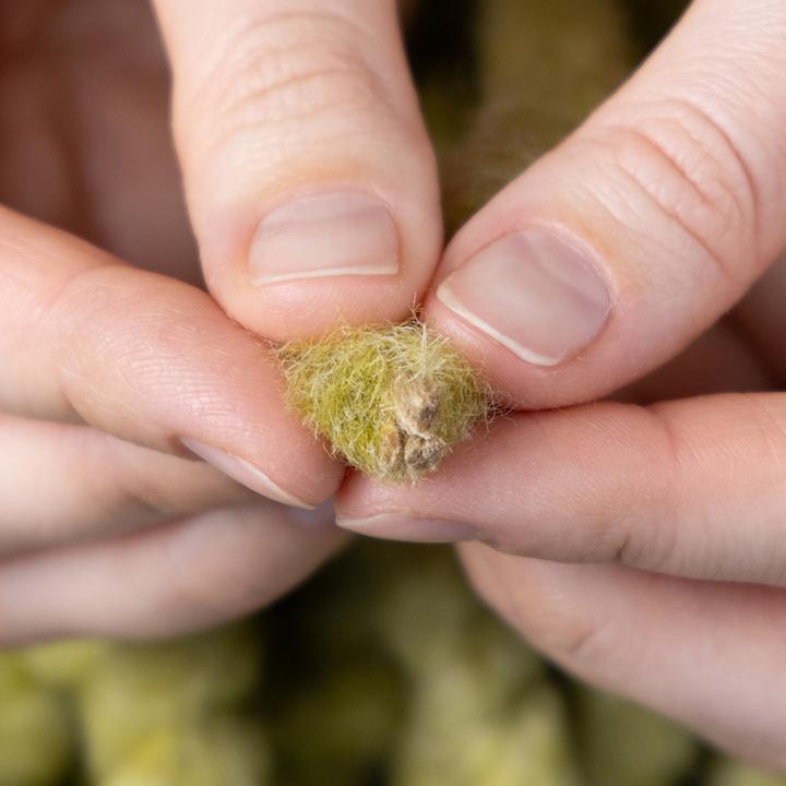 Produktbild Viana Filzkordel Dekoband DIY