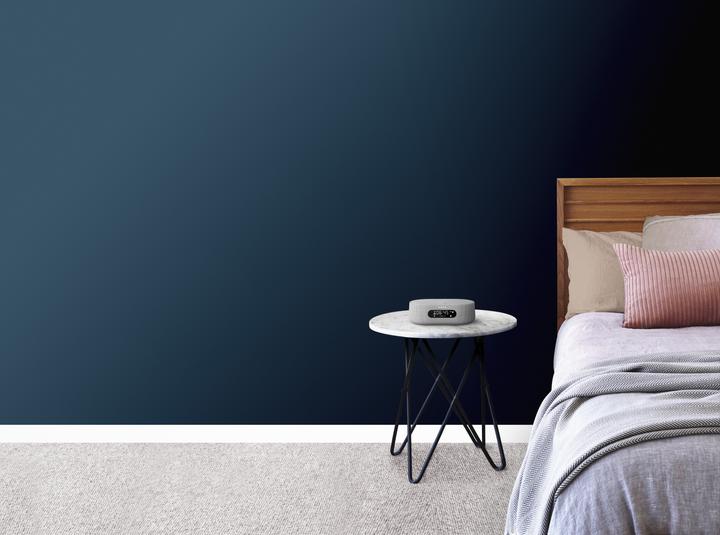 Actual product image Harman/Kardon Citation Oasis (Bluetooth, Wi-Fi)