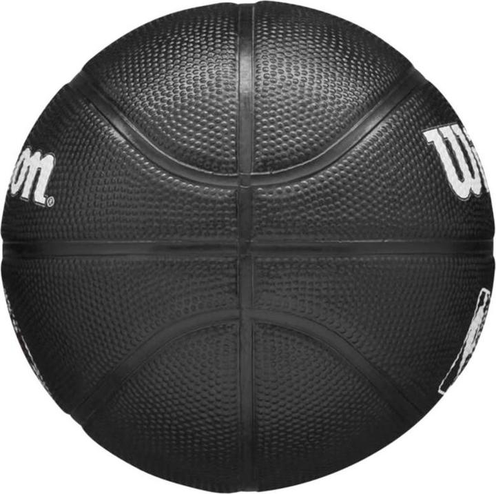 Actual product image Wilson Nba Team Tribute Mini Goal Raptors (3)