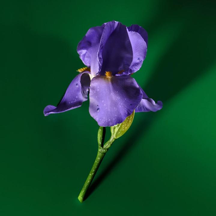 Produktbild Gucci Guilty Pour Homme Elixir (Eau de Parfum, 60 ml)