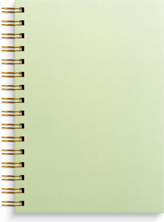 Image du produit Burde Carnet de notes A5 vert (A5, À rayures)