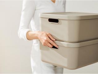 Actual product image Rotho Albula (20 l)