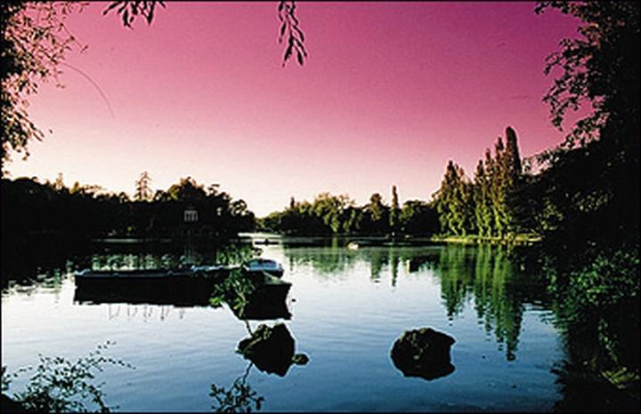 Produktbild Cokin P670 Verlauffilter fluo pink 1 (82 mm, Farbfilter)