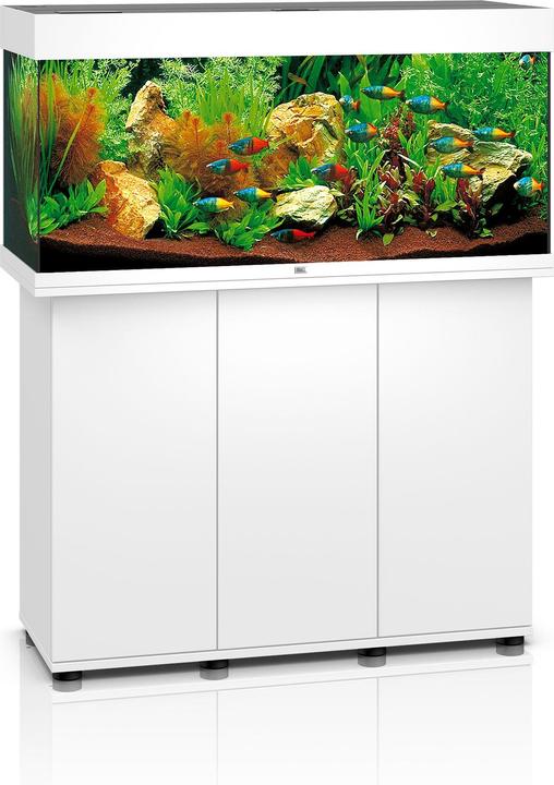 Juwel Aquarium Aquarium Rio 180 combinaison, blanc (180 l)