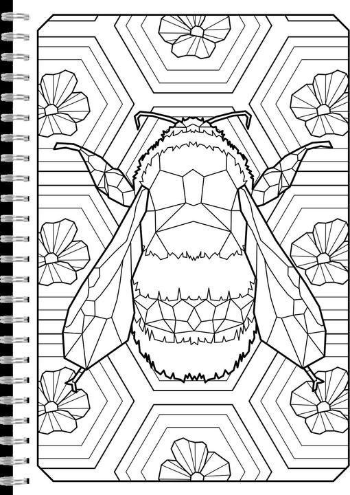 Produktbild Polygone Magie