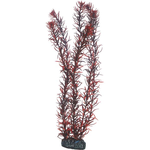 Meilleurs prix pour Accessoire pour aquarium Hobby Eusteralis