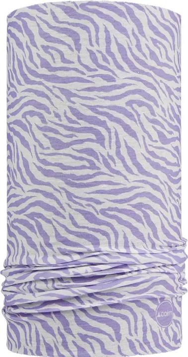 lilac zebra