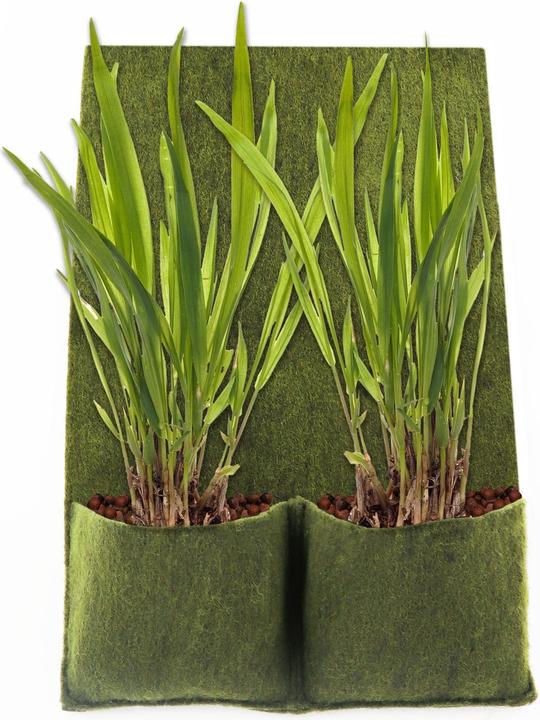 Produktbild Aquagart 7 Pflanztaschen Pflanztasche Ufermatte Böschungsmatte für Teichfolie
